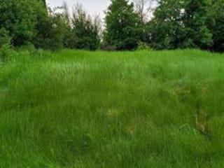 Lot for sale in Prince George, PG City Central, 2220 Tamarack Street, 263068847 | Realtylink.org