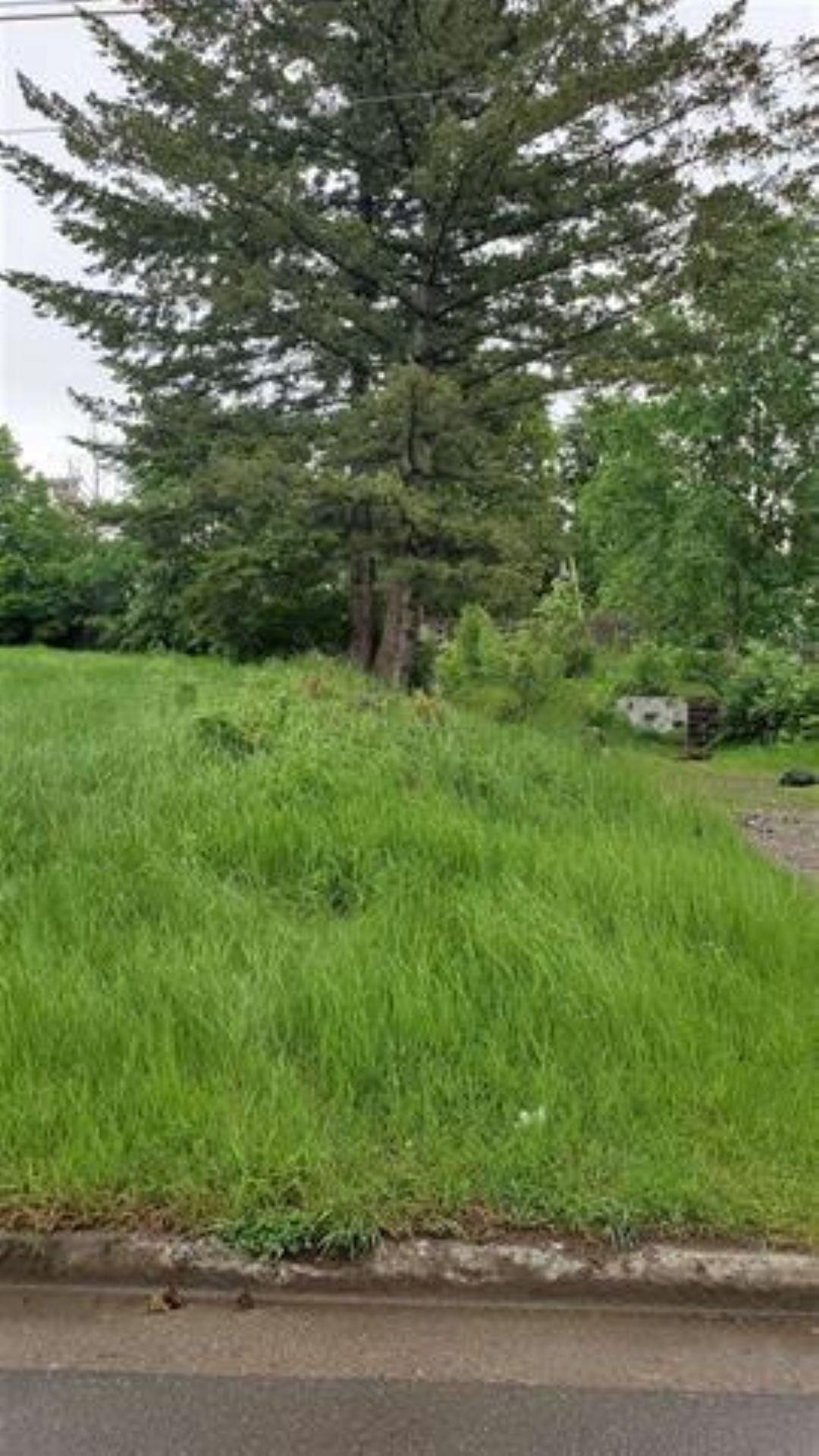 Lot for sale in Prince George, PG City Central, 2224 Tamarack Street, 263068851 | Realtylink.org
