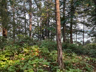 Lot for sale in Salt Spring Island, Islands-Van. & Gulf, LOT 2 North End Road, 263068909 | Realtylink.org