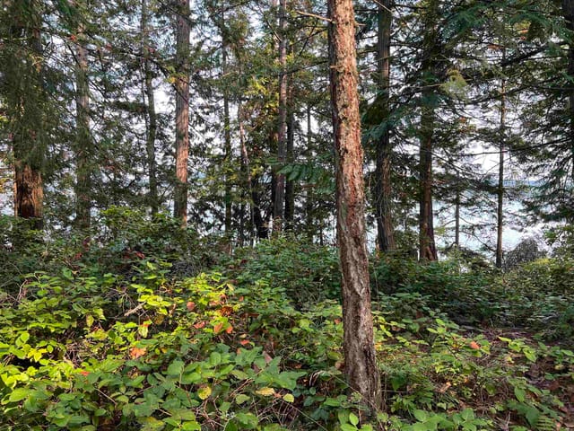 Lot for sale in Salt Spring Island, Islands-Van. & Gulf, LOT 2 North End Road, 263068909 | Realtylink.org