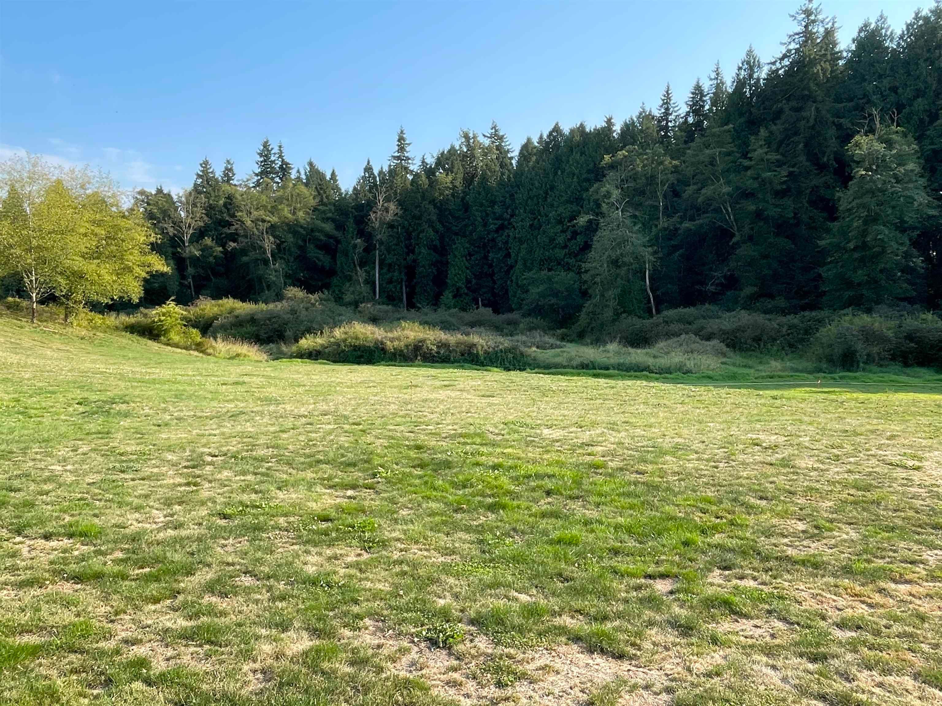 Lot for sale in Surrey, South Surrey White Rock, 17384 8 Avenue, 263069010 | Realtylink.org