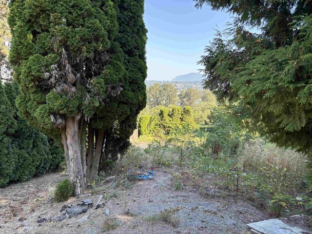 Lot for sale in Surrey, North Surrey, 13993 116 Avenue, 263069183 | Realtylink.org