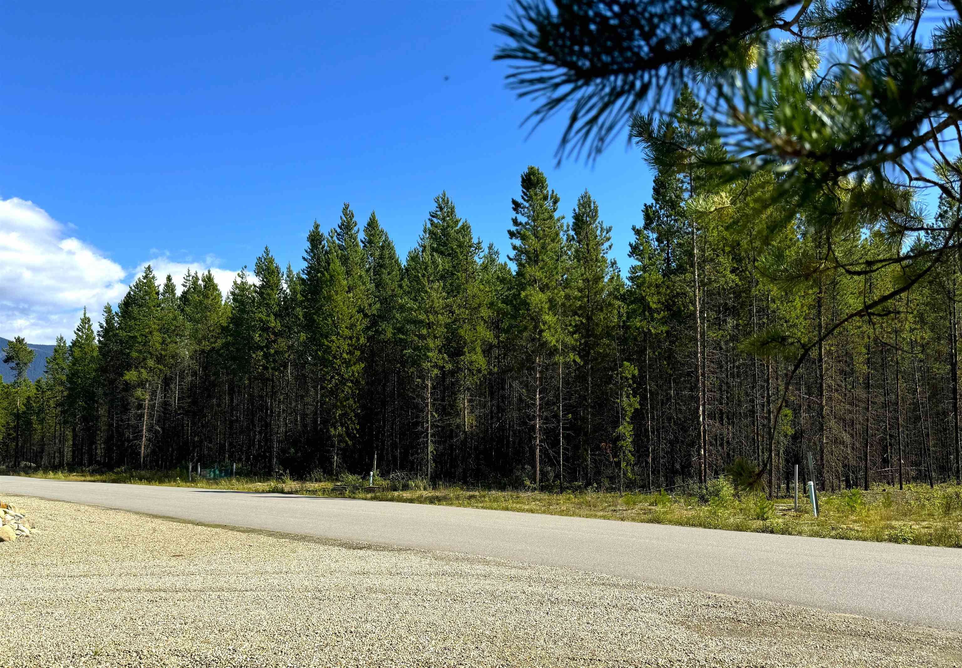 Lot for sale in Valemount, Robson Valley, 1285 Fowler Place, 263070620 | Realtylink.org