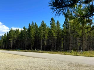Lot for sale in Valemount, Robson Valley, 1285 Fowler Place, 263070620 | Realtylink.org