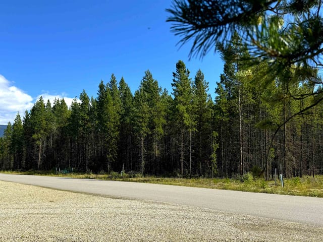 Lot for sale in Valemount, Robson Valley, 1285 Fowler Place, 263070620 | Realtylink.org