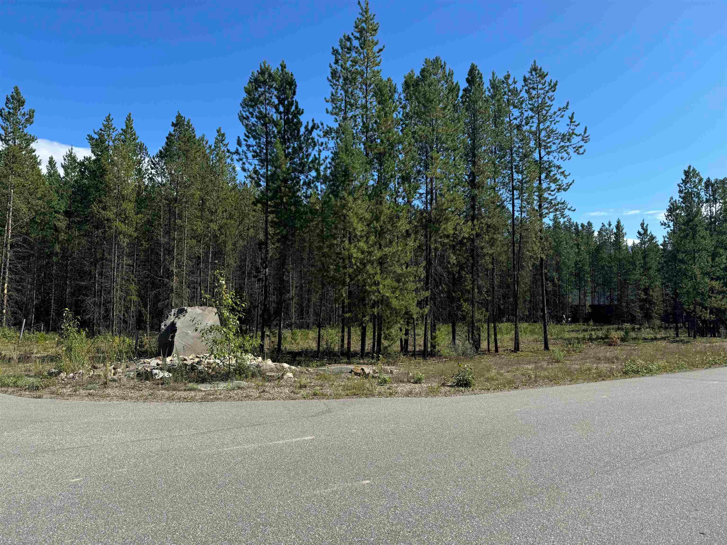 Lot for sale in Valemount, Robson Valley, 1295 Fowler Place, 263070626 | Realtylink.org