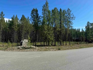 Lot for sale in Valemount, Robson Valley, 1295 Fowler Place, 263070626 | Realtylink.org