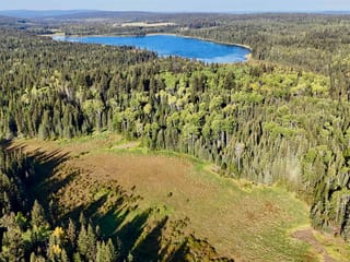 Lot for sale in Horse Lake, 100 Mile House, Dl2890 Horse Lake Fsr Road, 263070951 | Realtylink.org
