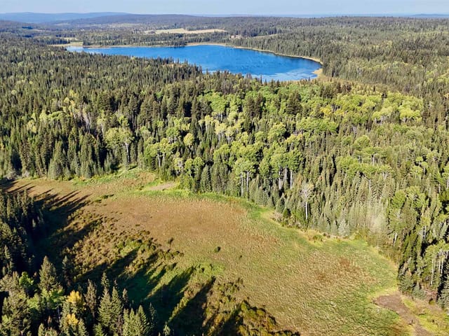 Lot for sale in Horse Lake, 100 Mile House, Dl2890 Horse Lake Fsr Road, 263070951 | Realtylink.org