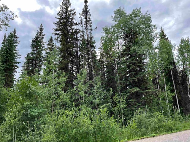 Lot for sale in Cluculz Lake, PG Rural West, Lot B Jardine Road, 263071644 | Realtylink.org