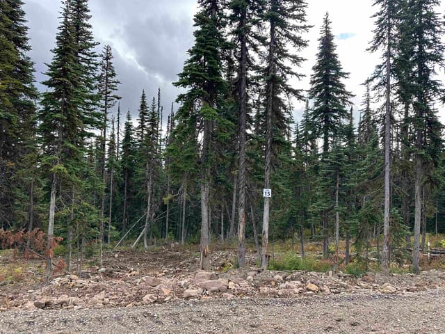 Lot for sale in Smithers, Smithers And Area, Pr. St Lt 15 Alpine Way, 263071954 | Realtylink.org
