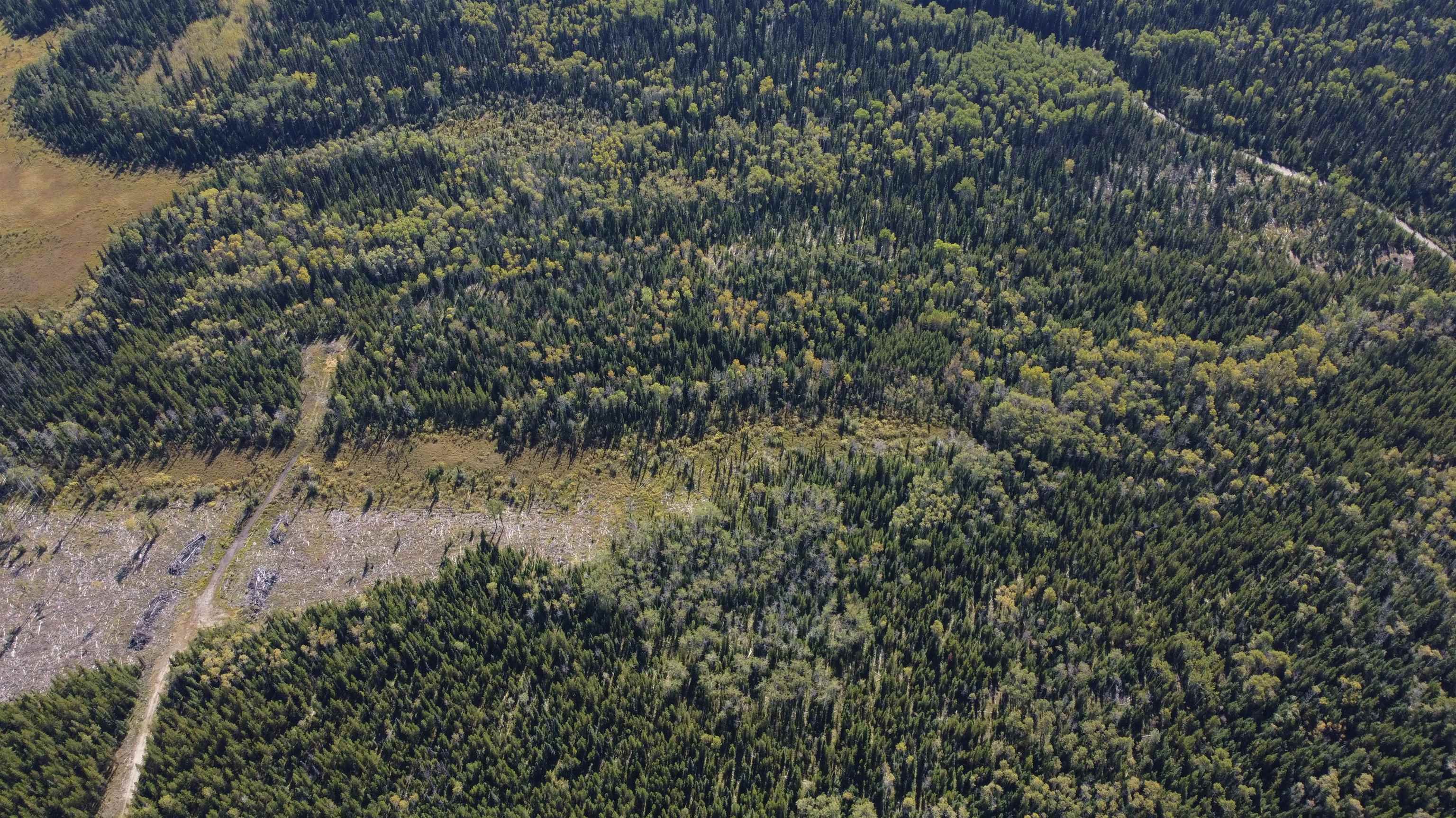 Lot for sale in Prince George, PG Rural North, Dl 4185 Kaykay Forest Service Road, 263071955 | Realtylink.org