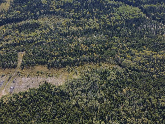 Lot for sale in Prince George, PG Rural North, Dl 4185 Kaykay Forest Service Road, 263071955 | Realtylink.org