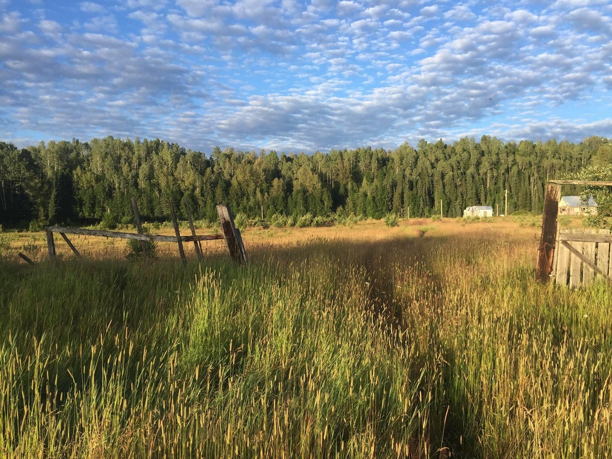 Lot for sale in Dome Creek, Robson Valley, 12969 Dome Creek Road, 263074027 | Realtylink.org