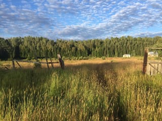 Lot for sale in Dome Creek, Robson Valley, 12969 Dome Creek Road, 263074027 | Realtylink.org