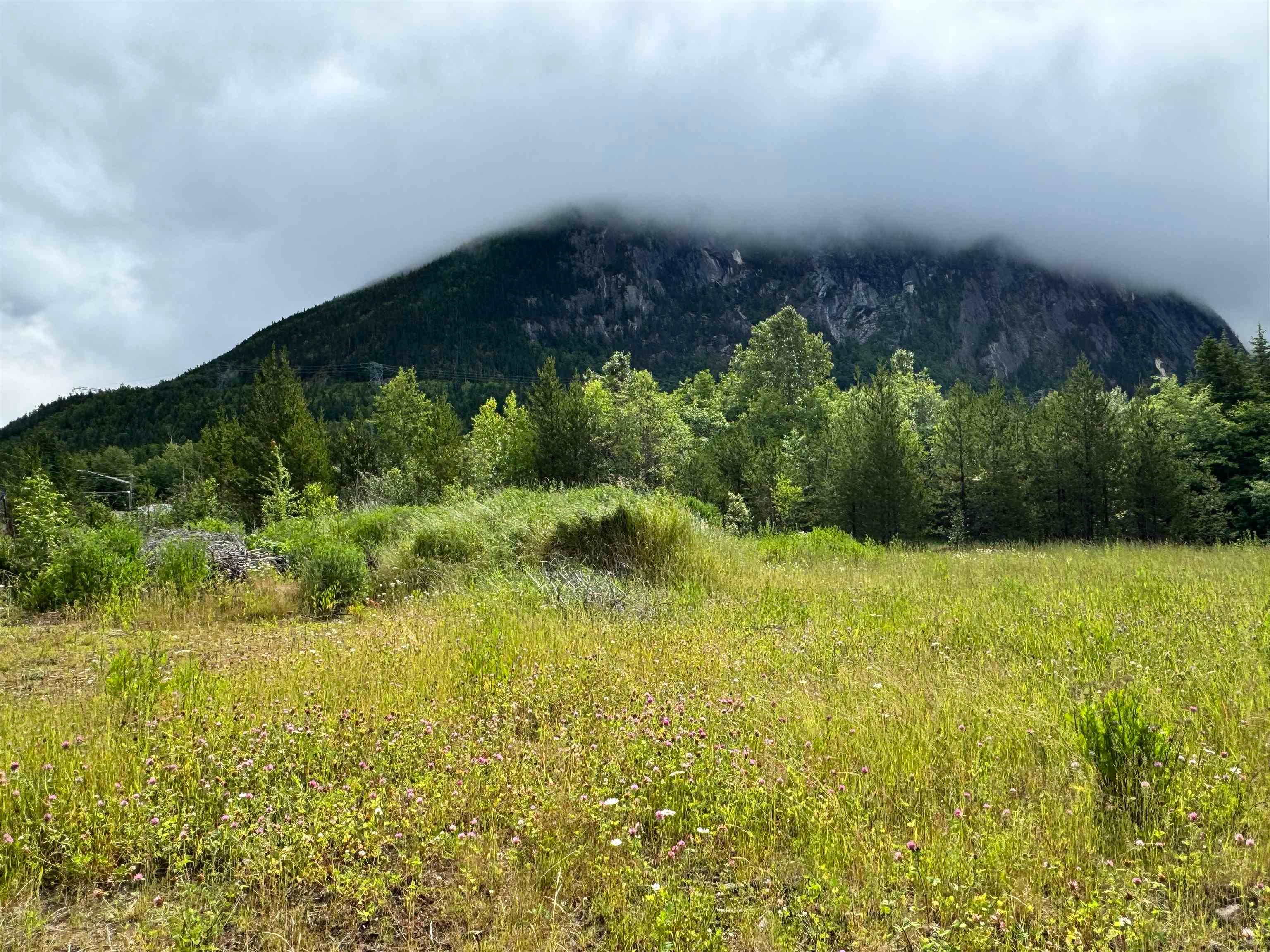 Lot for sale in Terrace, Terrace, 3728 Dobbie Street, 263074208 | Realtylink.org