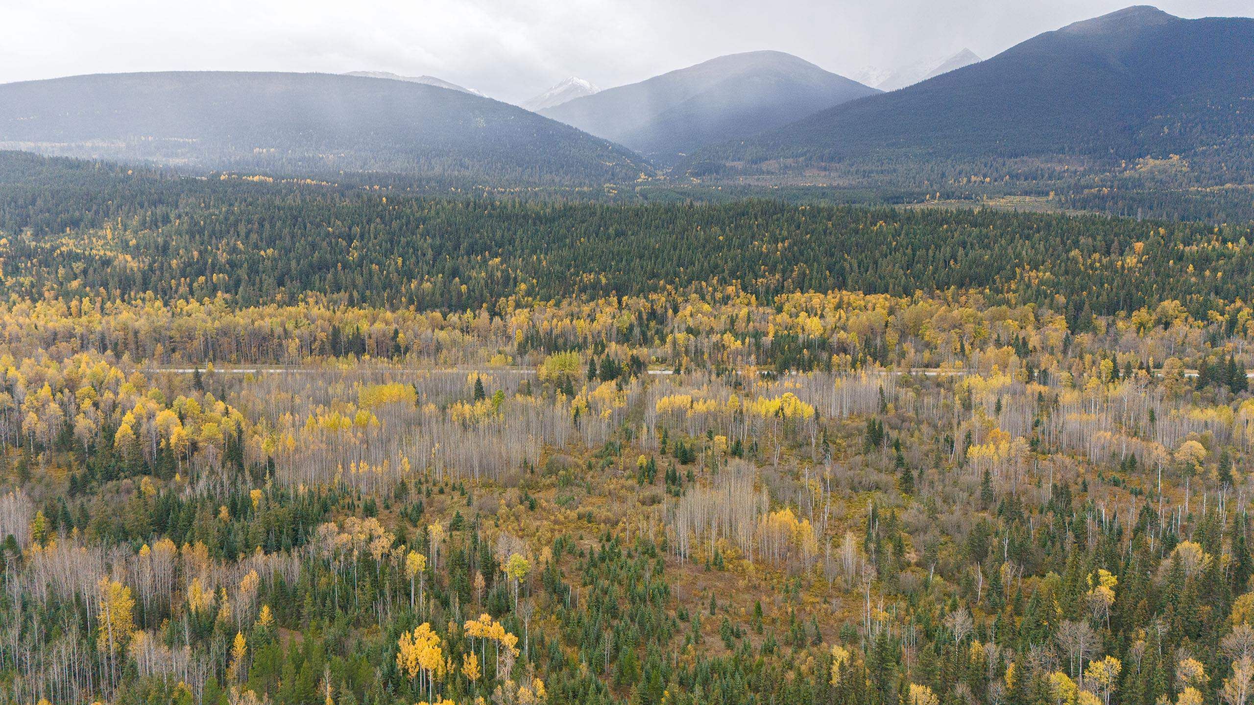 Lot for sale in McBride, Robson Valley, DL 7054 W 16 Highway, 263074446 | Realtylink.org