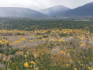 Lot for sale in McBride, Robson Valley, DL 7054 W 16 Highway, 263074446 | Realtylink.org