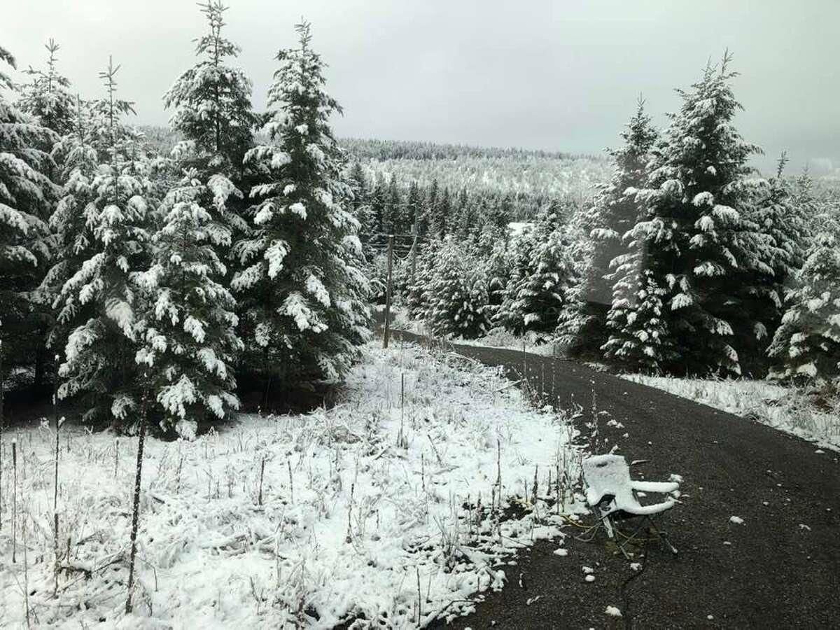 Lot for sale in Lac La Hache, 100 Mile House, 3631 Park Place, 263076607 | Realtylink.org