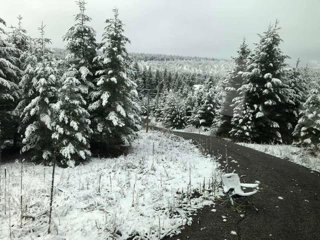 Lot for sale in Lac La Hache, 100 Mile House, 3631 Park Place, 263076607 | Realtylink.org