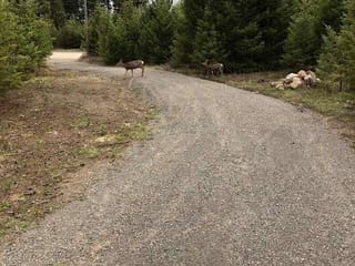 Lot for sale in Lac La Hache, 100 Mile House, 3631 Park Place, 263076607 | Realtylink.org