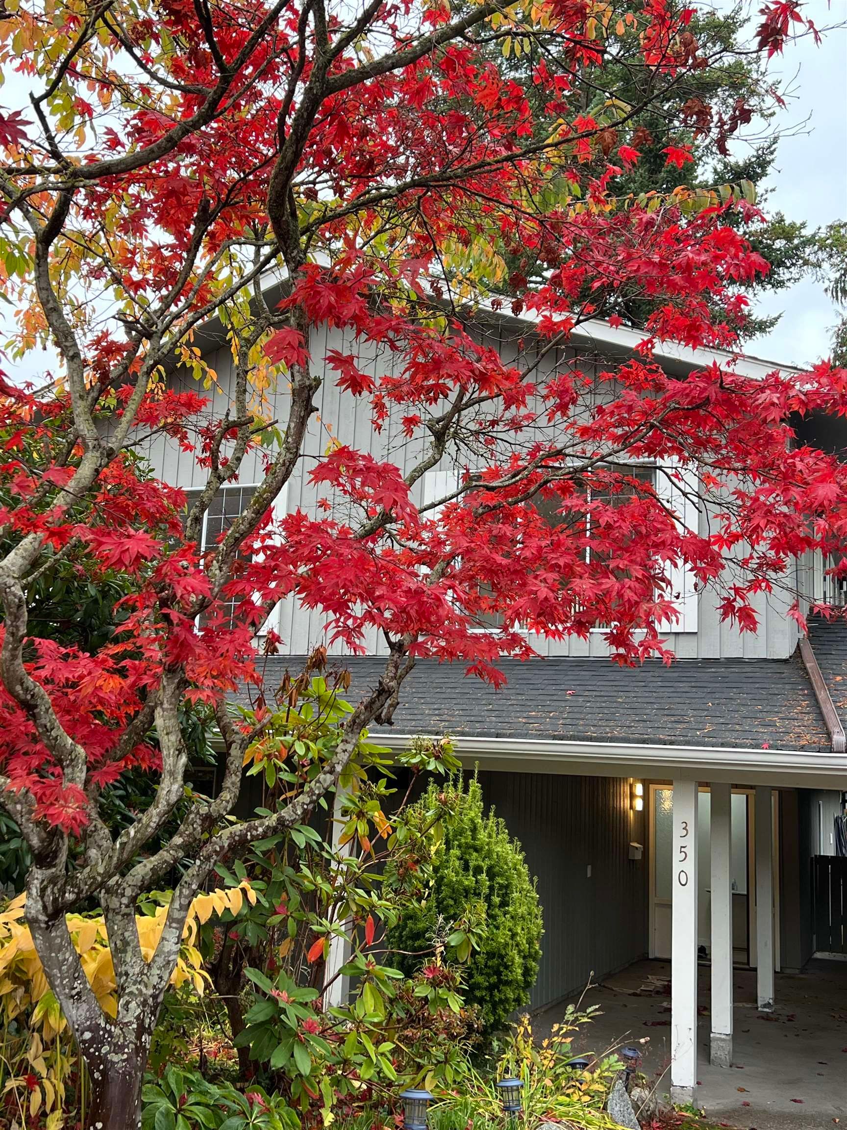 House for sale in Delta, Tsawwassen, 350 52a Street, 263077568 | Realtylink.org