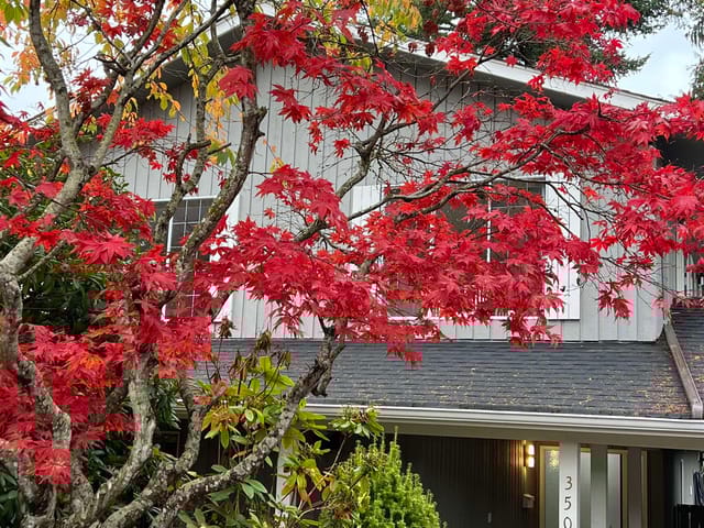 House for sale in Delta, Tsawwassen, 350 52a Street, 263077568 | Realtylink.org