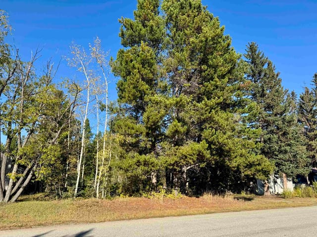 Lot for sale in Valemount, Robson Valley, 1366 7th Avenue, 263078589 | Realtylink.org