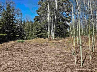 Lot for sale in Burns Lake, Burns Lake, 101 5th Avenue, 263079423 | Realtylink.org