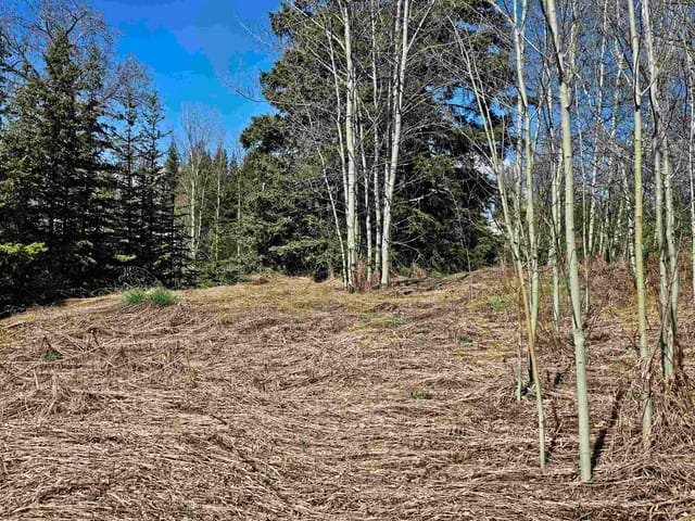 Lot for sale in Burns Lake, Burns Lake, 101 5th Avenue, 263079423 | Realtylink.org