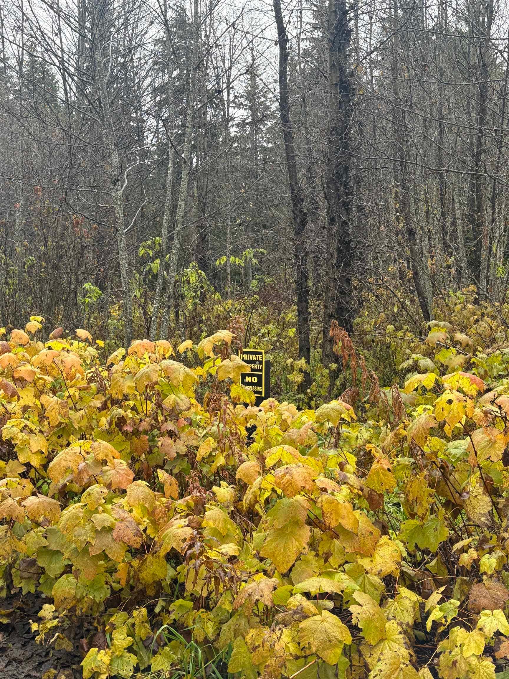 Lot for sale in Terrace, Terrace, LOT 1 Dl 1716 Kilby Road, 263080808 | Realtylink.org