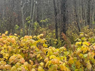 Lot for sale in Terrace, Terrace, LOT 1 Dl 1716 Kilby Road, 263080808 | Realtylink.org