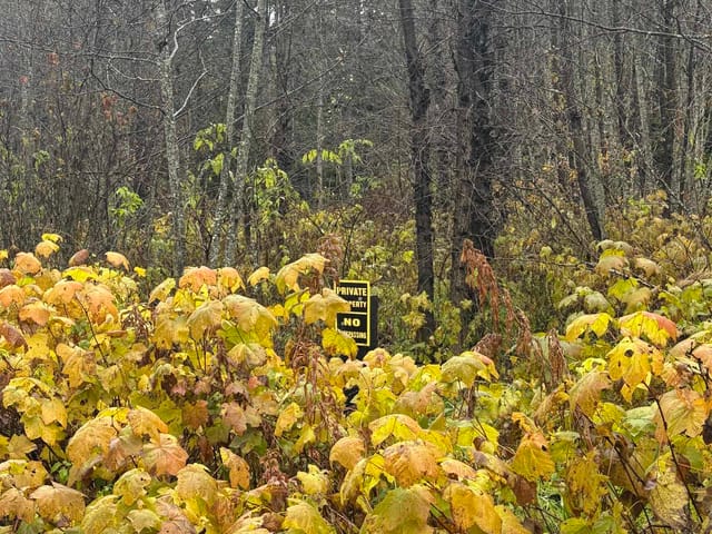 Lot for sale in Terrace, Terrace, LOT 1 Dl 1716 Kilby Road, 263080808 | Realtylink.org