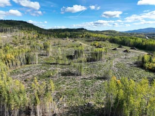 Lot for sale in Endako, Vanderhoof And Area, Dl 3832 Columbia Street, 263081282 | Realtylink.org