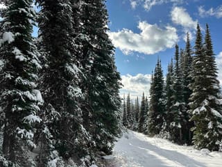 Lot for sale in Smithers, Smithers And Area, 345 Prairie Road, 263081428 | Realtylink.org