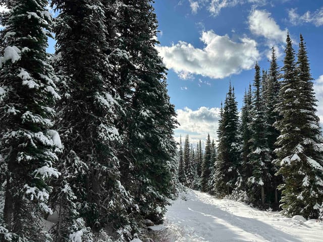 Lot for sale in Smithers, Smithers And Area, 345 Prairie Road, 263081428 | Realtylink.org