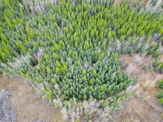 Lot for sale in Burns Lake, Burns Lake, LOT 13 Clearview Drive, 263083333 | Realtylink.org