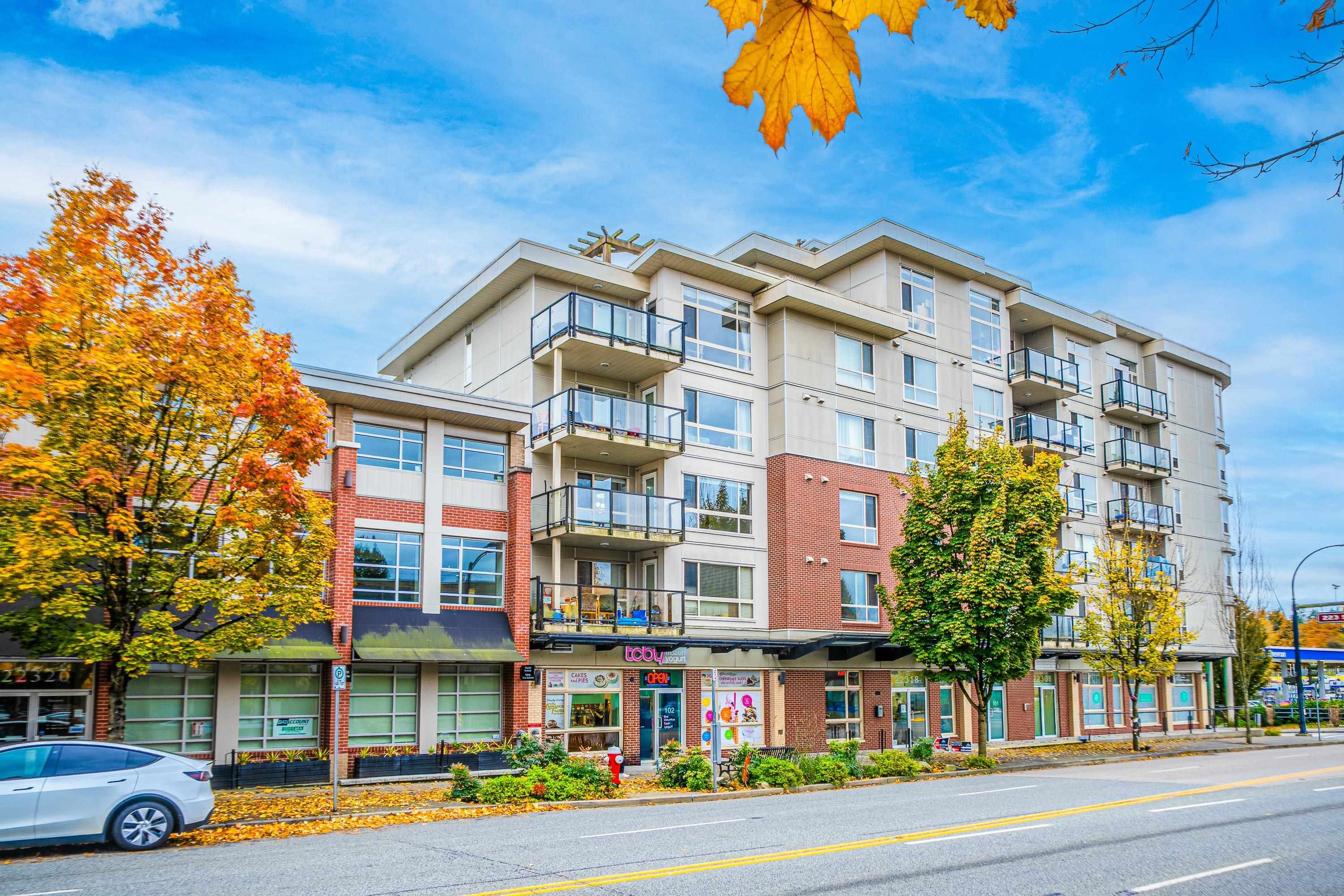 Apartment for sale in Maple Ridge, Maple Ridge, 303 22318 Lougheed Highway, 263083897 | Realtylink.org