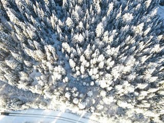 Lot for sale in Wells, Quesnel, Lot 17 Burnett Avenue, 263085618 | Realtylink.org