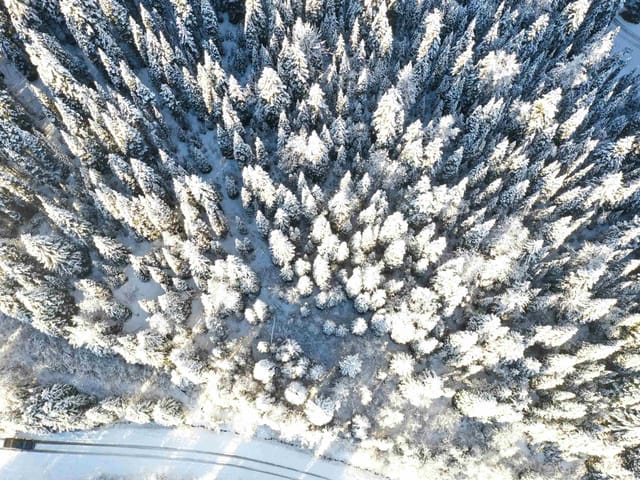 Lot for sale in Wells, Quesnel, Lot 17 Burnett Avenue, 263085618 | Realtylink.org