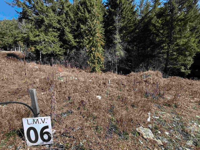 Lot for sale in Sunshine Valley, Hope & Area, Lmv6 Old Hope Princeton Highway, 263086116 | Realtylink.org