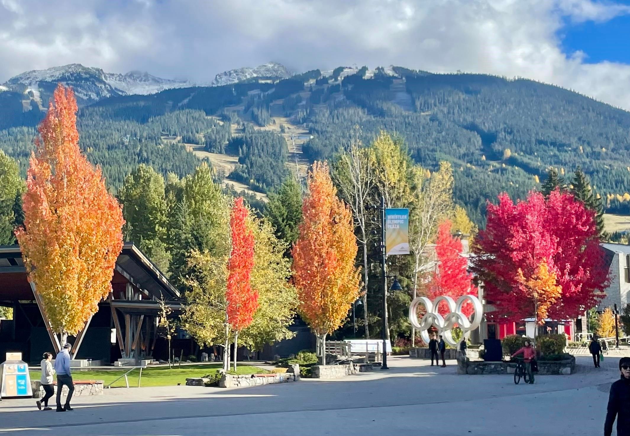 Apartment for sale in Whistler, Whistler, 302 4338 Main Street, 263087462 | Realtylink.org