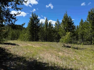 Lot for sale in Valemount, Robson Valley, LOT 4 Pitney Road, 263087851 | Realtylink.org