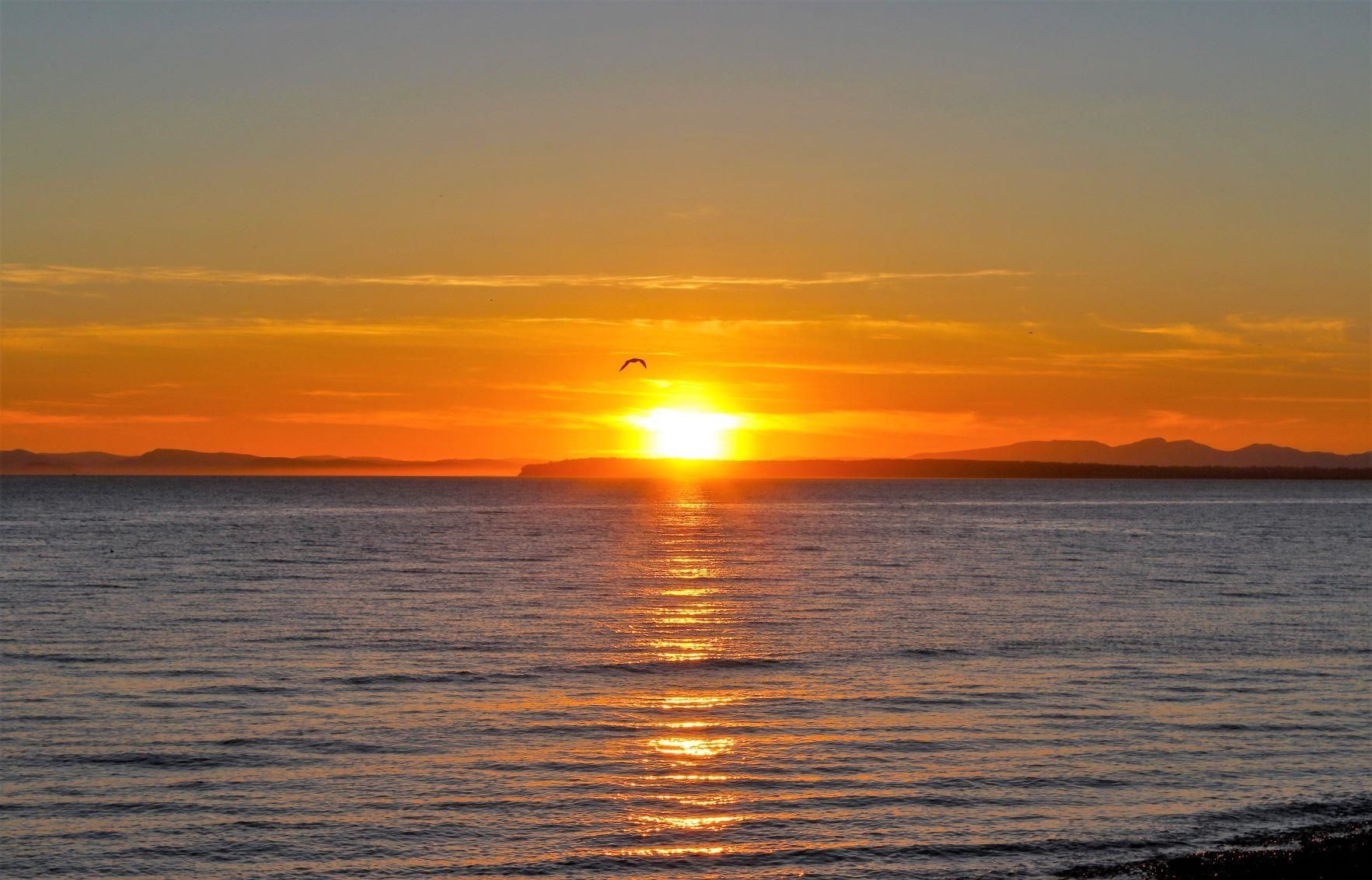 Lot for sale in Surrey, South Surrey White Rock, 1523 126a Street, 263088090 | Realtylink.org