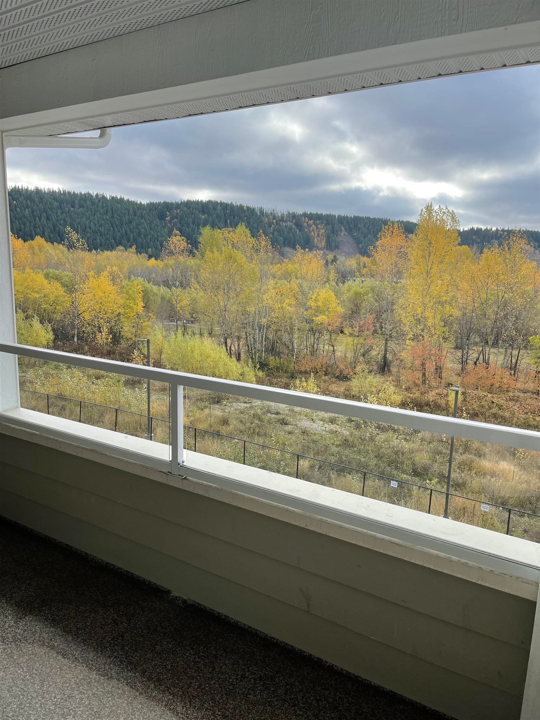 Apartment for sale in Prince George, PG City Central, 119 2055 Ingledew Street, 263089150 | Realtylink.org