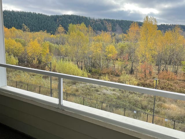 Apartment for sale in Prince George, PG City Central, 119 2055 Ingledew Street, 263089150 | Realtylink.org