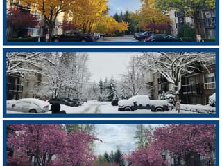 Apartment for sale in Maple Ridge, Maple Ridge, 101 11665 Haney Bypass, 263089659 | Realtylink.org