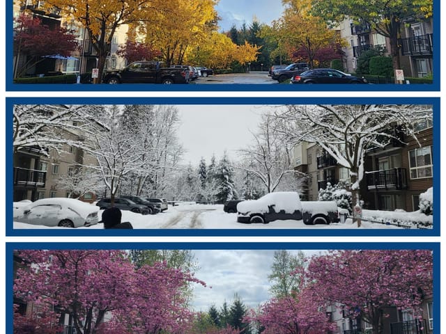 Apartment for sale in Maple Ridge, Maple Ridge, 101 11665 Haney Bypass, 263089659 | Realtylink.org