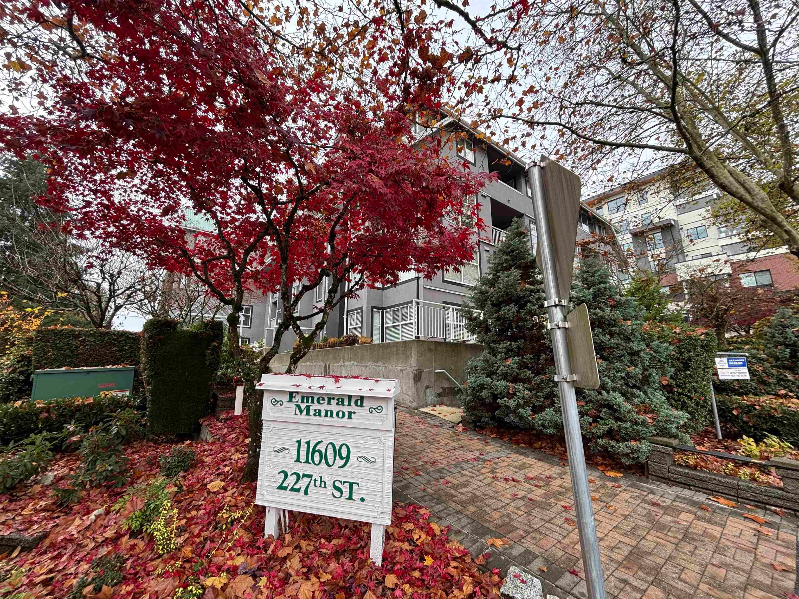 Apartment for sale in Maple Ridge, Maple Ridge, 208 11609 227 Street, 263089678 | Realtylink.org