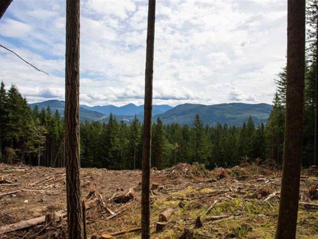 Lot for sale in Mission, Mission, 11533 Wilson Street, 263090914 | Realtylink.org